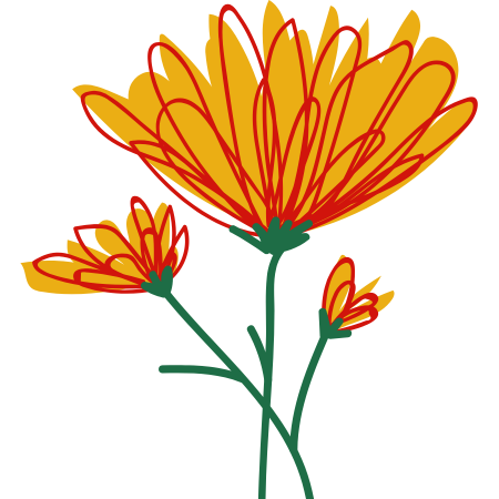 Flores